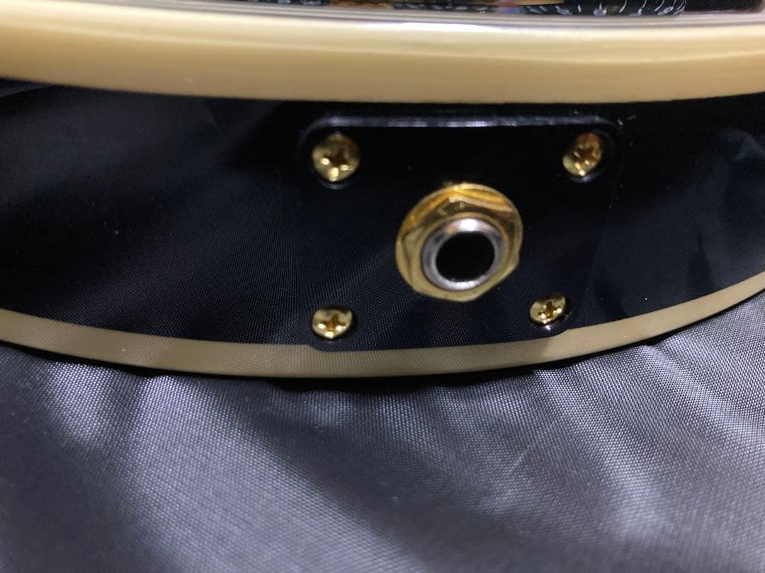 BUSKER'S バスカーズ レスポールカスタム BLC300 ケース付