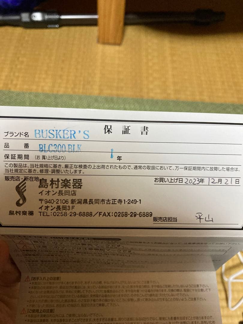 BUSKER'S バスカーズ レスポールカスタム BLC300 ケース付