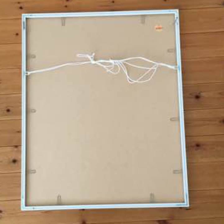 レディ・ガガ×テリー・リチャードソン プリント 額装済