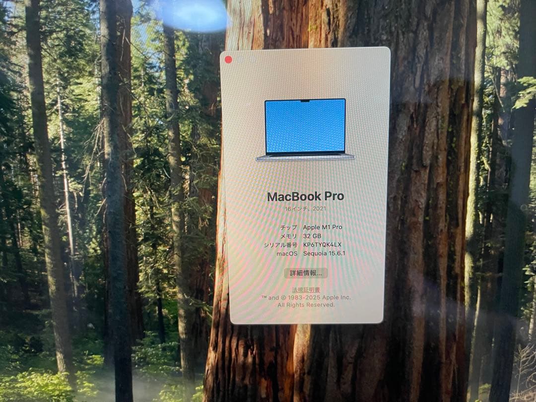 MacBook本体 Apple MacBook Pro 16 M1 Pro/32GB/1TB