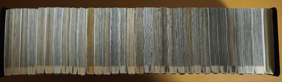 ゴールデンカムイ 全巻+ファンブックセット