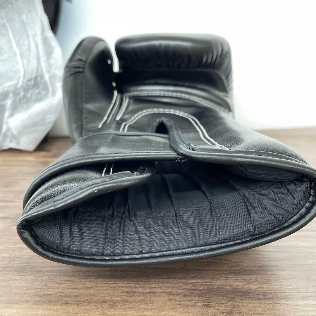 Fairtex ムエタイ ボクシンググローブBGV1 - タイプライド(限定版)