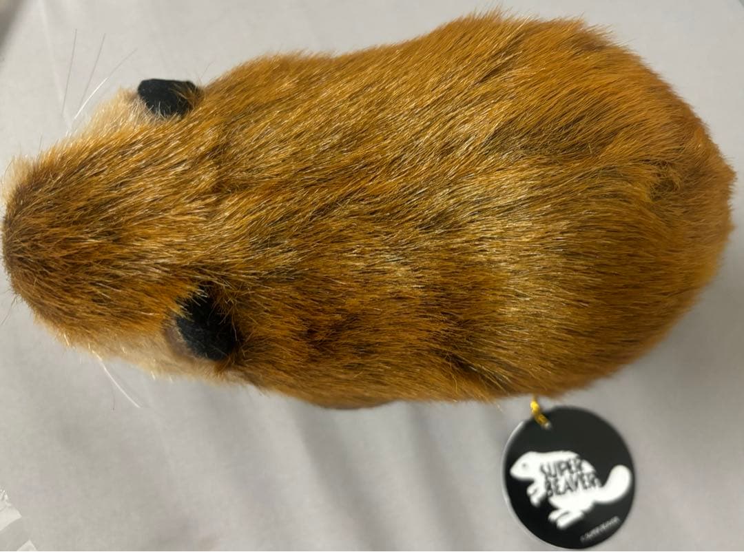 SUPER BEAVER スーパービーバーちゃん 未使用品