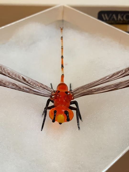 ベネチアンガラス　巨匠ヴィットリオコスタンティーニ　Murano　トンボ