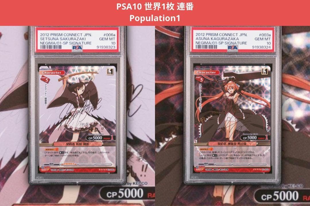 プリズムコネクト　魔法先生ネギま　契約者　桜咲刹那　神楽坂明日香　PSA１０