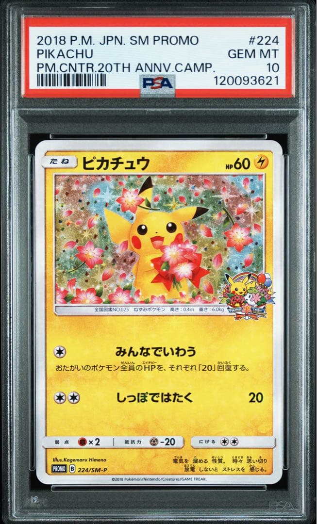 psa10 ピカチュウ　プロモ　224/SM-P みんなでいわう　20th
