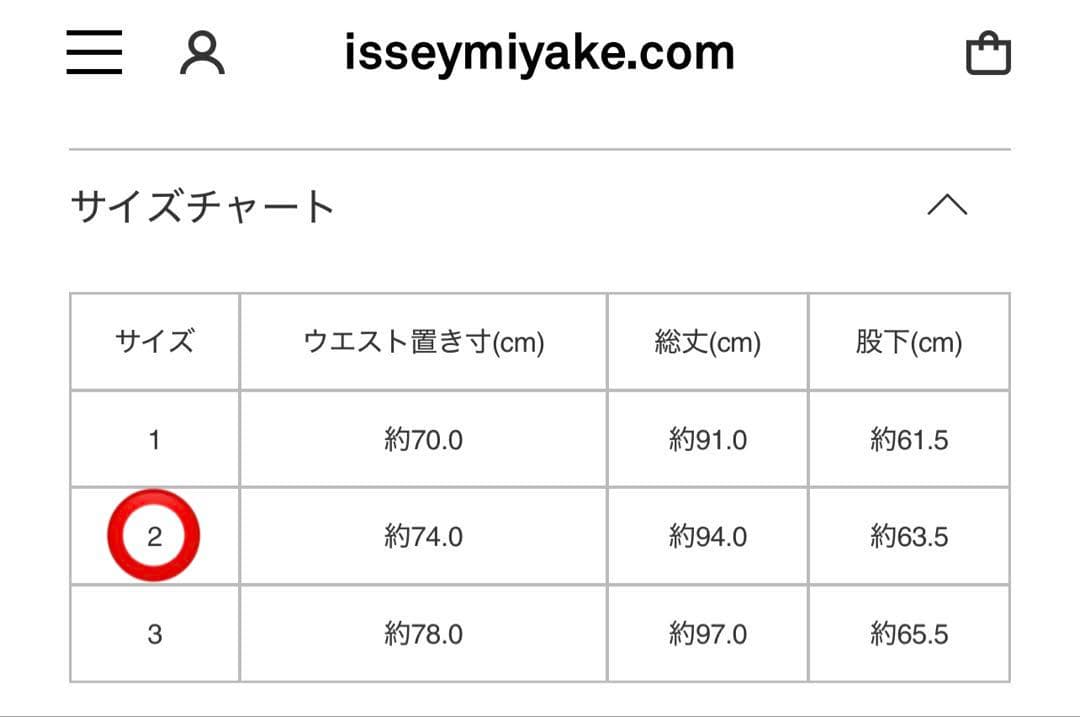 HOMME PLISSE イッセイミヤケ プリーツパンツ サルエルパンツ BK