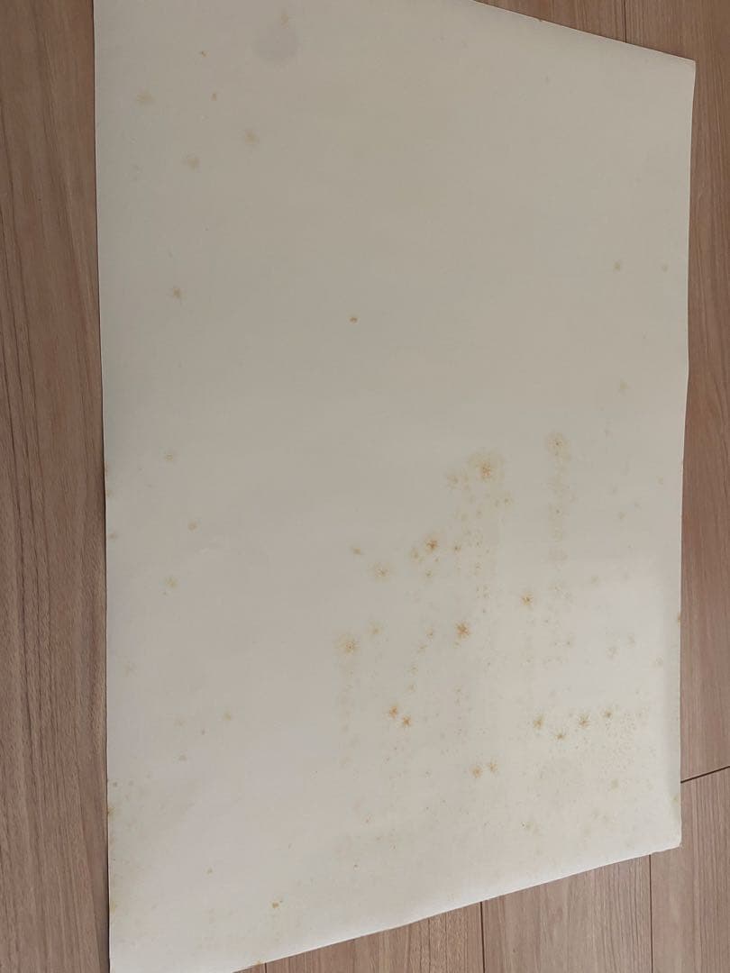 ALIENS vs PREDATOR REQUIEM ポスター