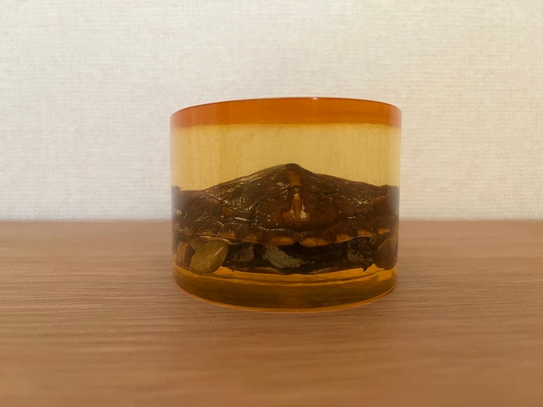 琥珀色 樹脂製 カメとカニの文鎮 インテリア置物