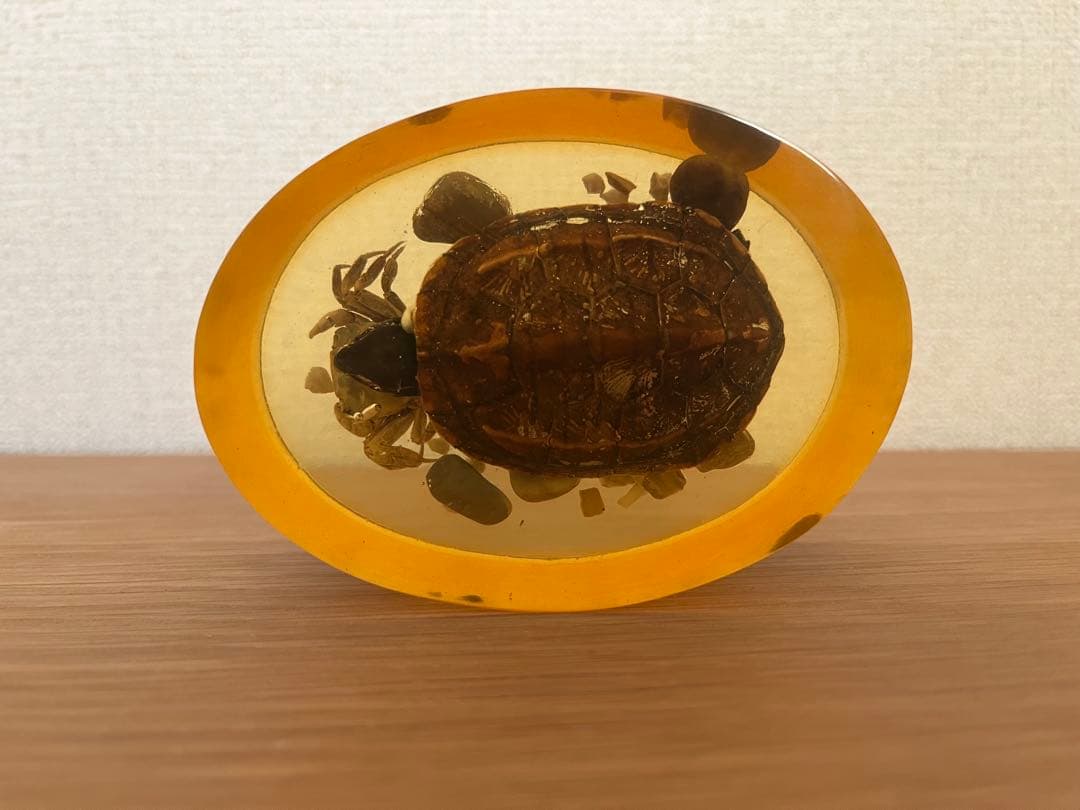 琥珀色 樹脂製 カメとカニの文鎮 インテリア置物