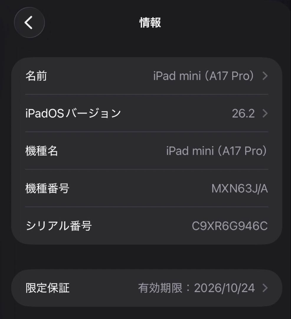iPad mini 7 (A17 Pro) Wi-Fiモデル 128GB