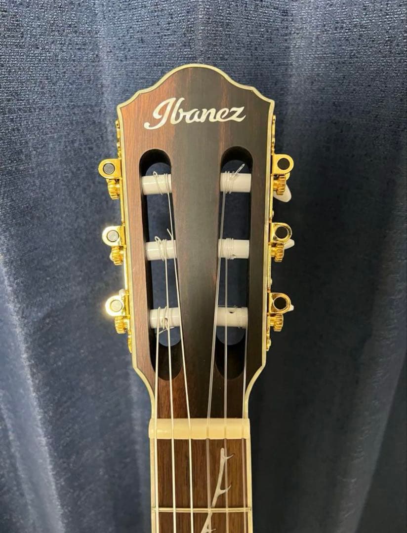Ibanez TOD10N Tim Henson シグネチャー エレガットギター