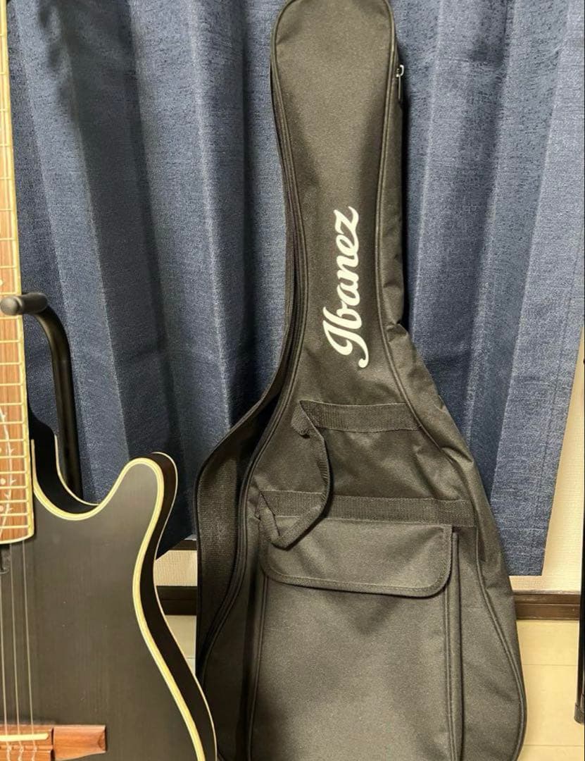 Ibanez TOD10N Tim Henson シグネチャー エレガットギター