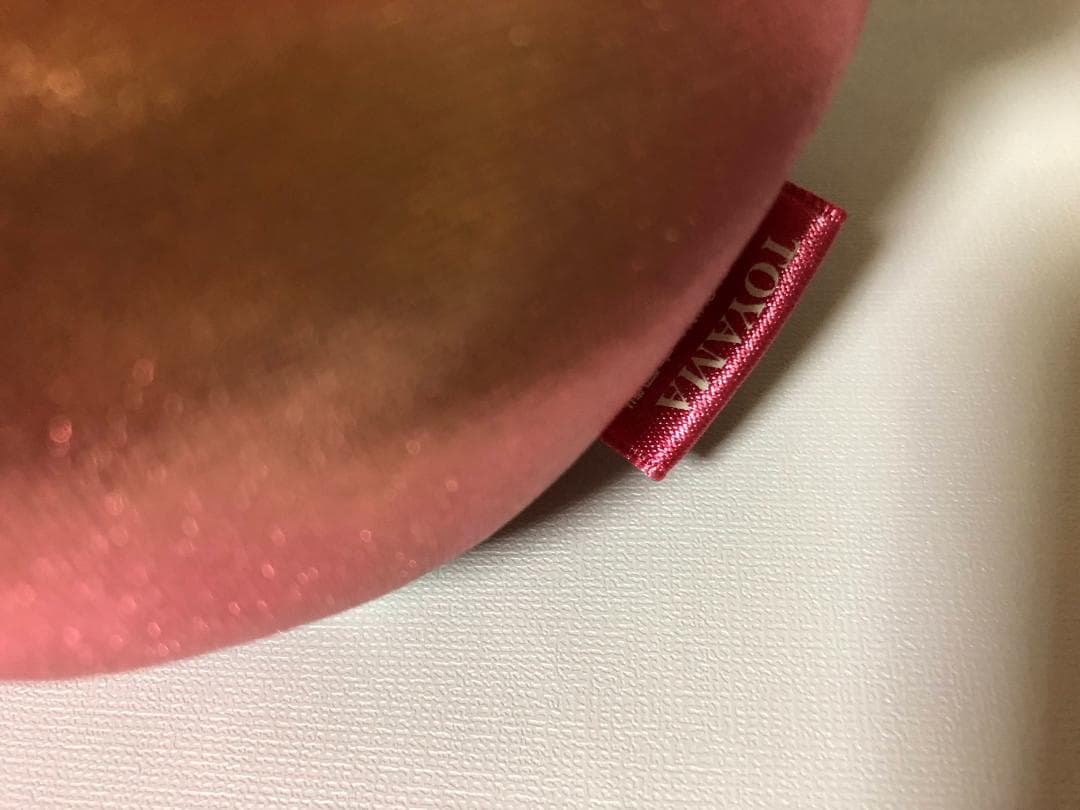 ご当地キティ ぬいぐるみ中 富山限定 ホタルイカ　2004年 タグ付き