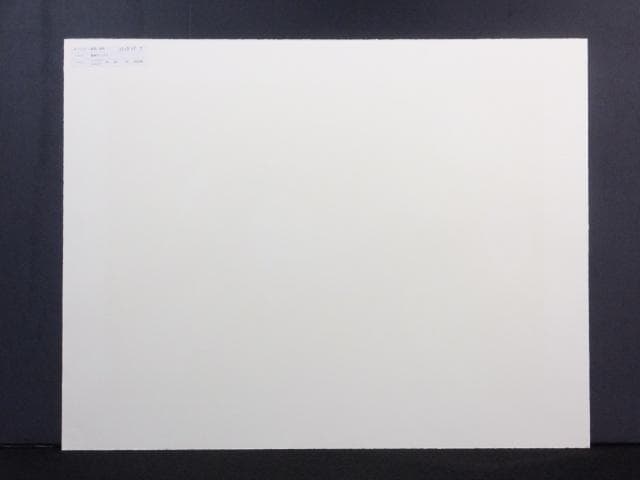 前田常作 直筆サイン『散華 マンダラ』リトグラフ 2000年 シート　0829J