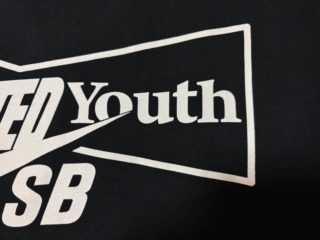 wasted youth NIKE SB パーカー　フーディ
