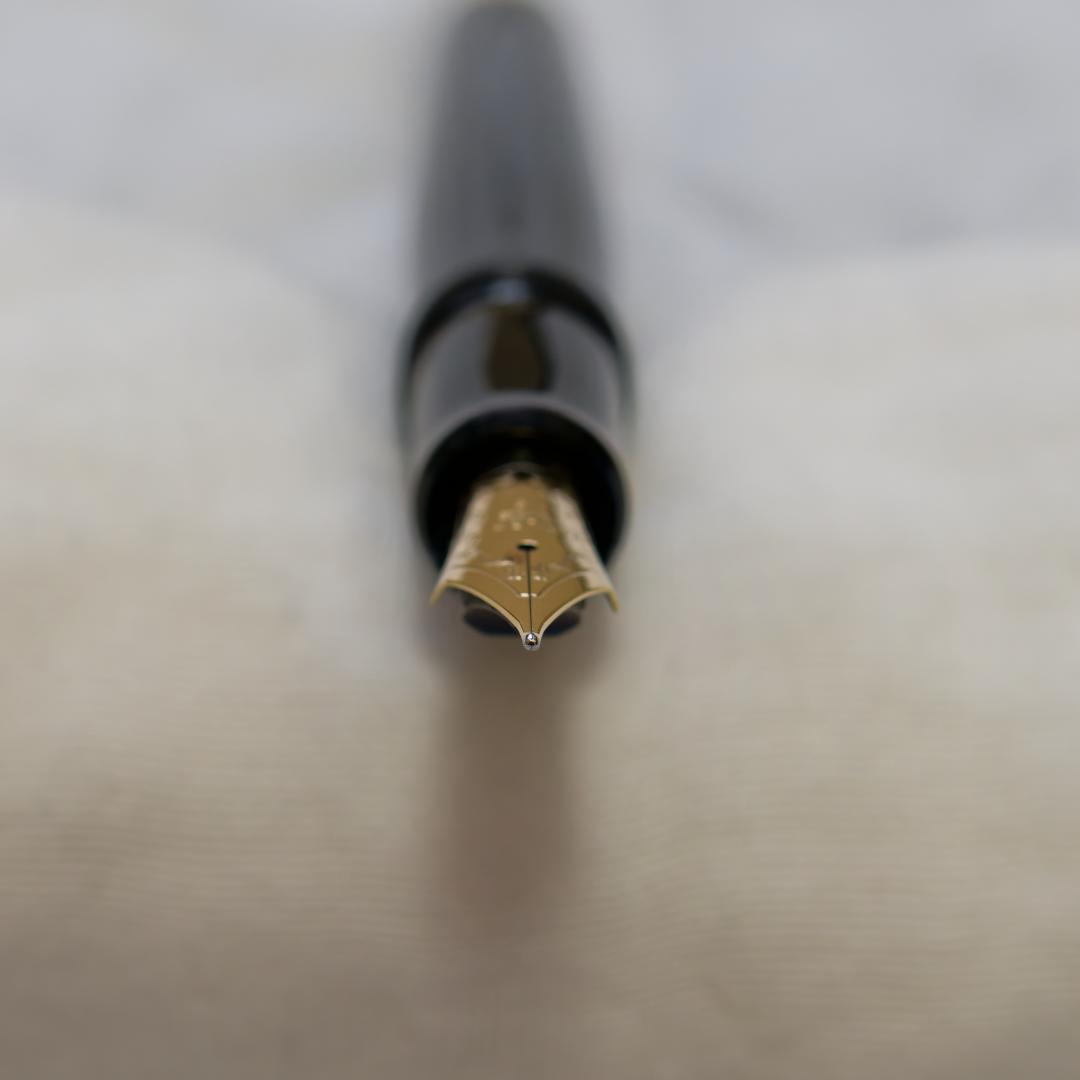 ハ*ル様 【美品】PILOT 万年筆 カスタム743 M中字