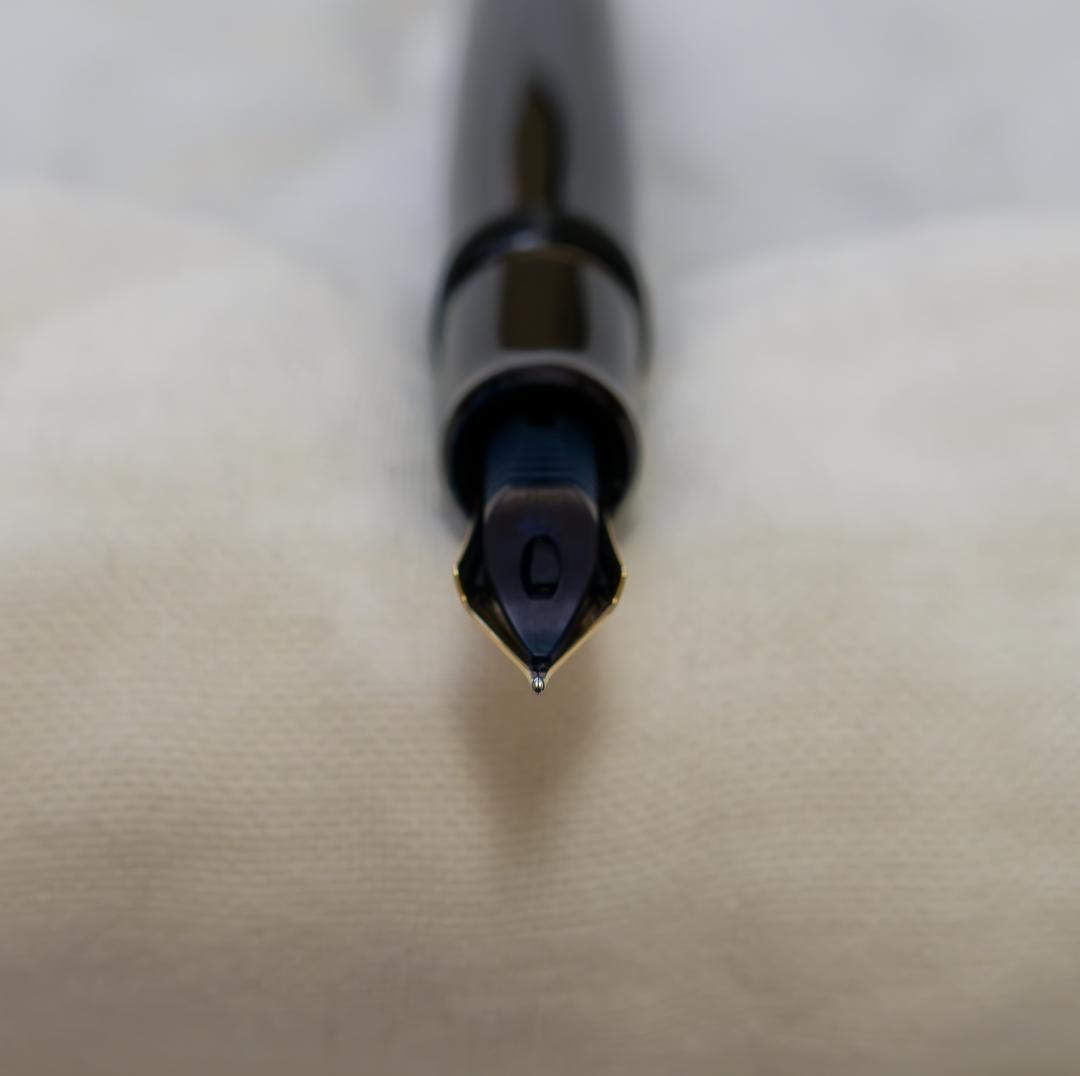 ハ*ル様 【美品】PILOT 万年筆 カスタム743 M中字