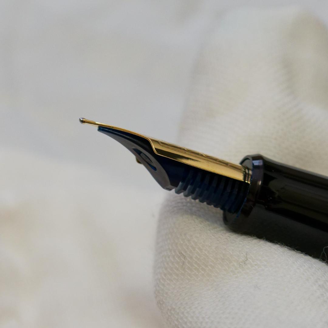 ハ*ル様 【美品】PILOT 万年筆 カスタム743 M中字