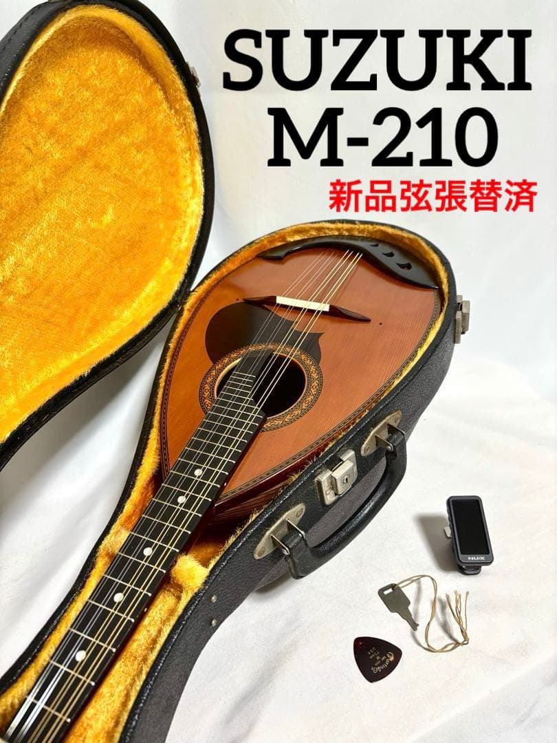 【新品弦張替済】SUZUKI マンドリン M-210 チューナー/ケース