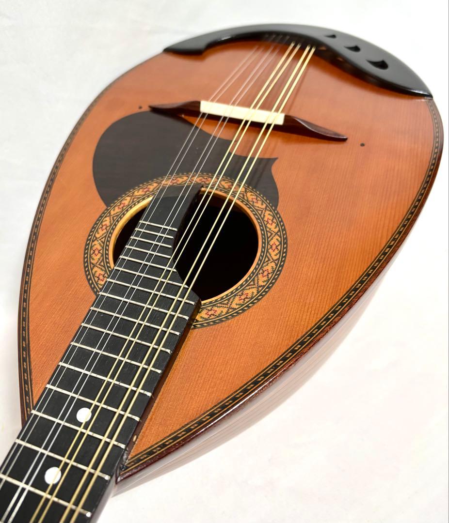 【新品弦張替済】SUZUKI マンドリン M-210 チューナー/ケース