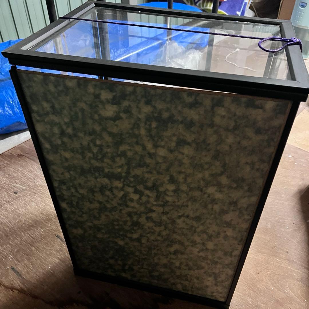 【お宝】美術 武者人形 紫峰作 謹製 馬上大将　日本人形