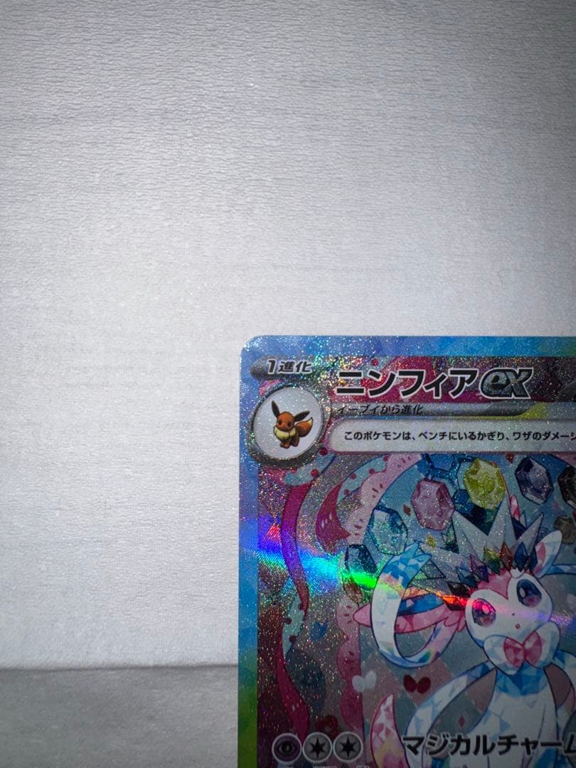 テラスタルフェス　3枚セット　ブラッキー