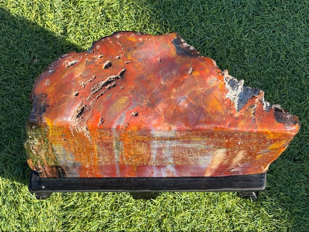 珪化木 木化石 鑑賞石 天然石 水晶 色石 赤石 赤玉石 アリゾナ珪化木 置物