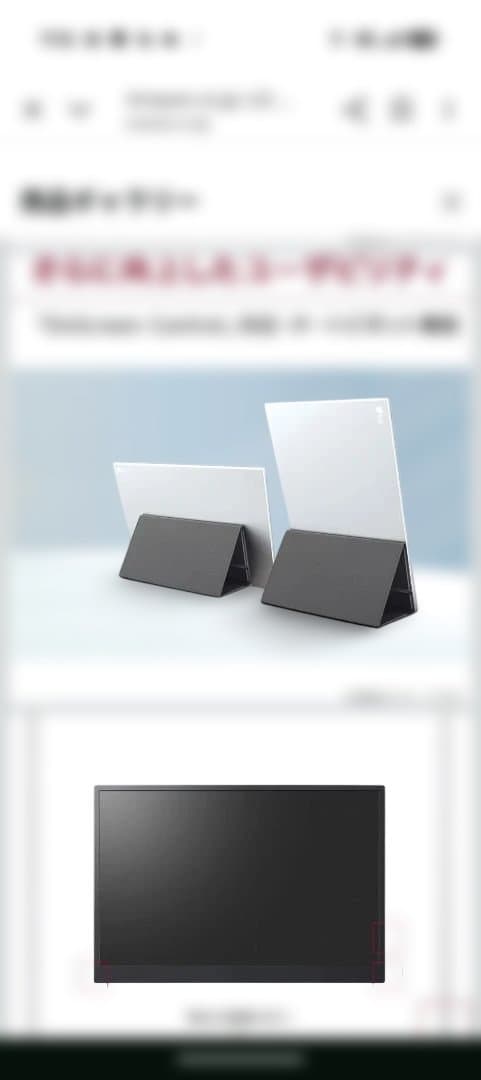 値下げ交渉❌️3日限定LG gram +view 16.0インチ モニター 本体