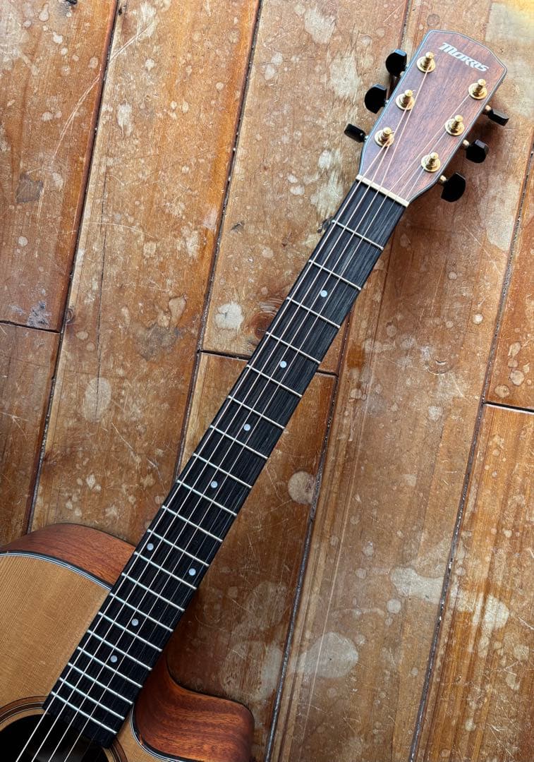 MORRIS S-031SP NAT 限定30本モデル