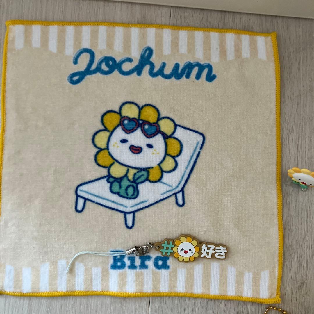 jo1 ぬいぐるみ　トレカケース　ビラ