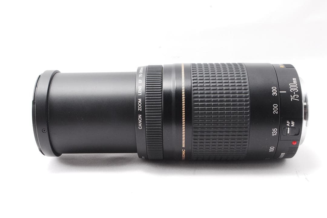 ✨人気の望遠レンズ✨Canon EF 75-300mm F4-5.6 Ⅱ