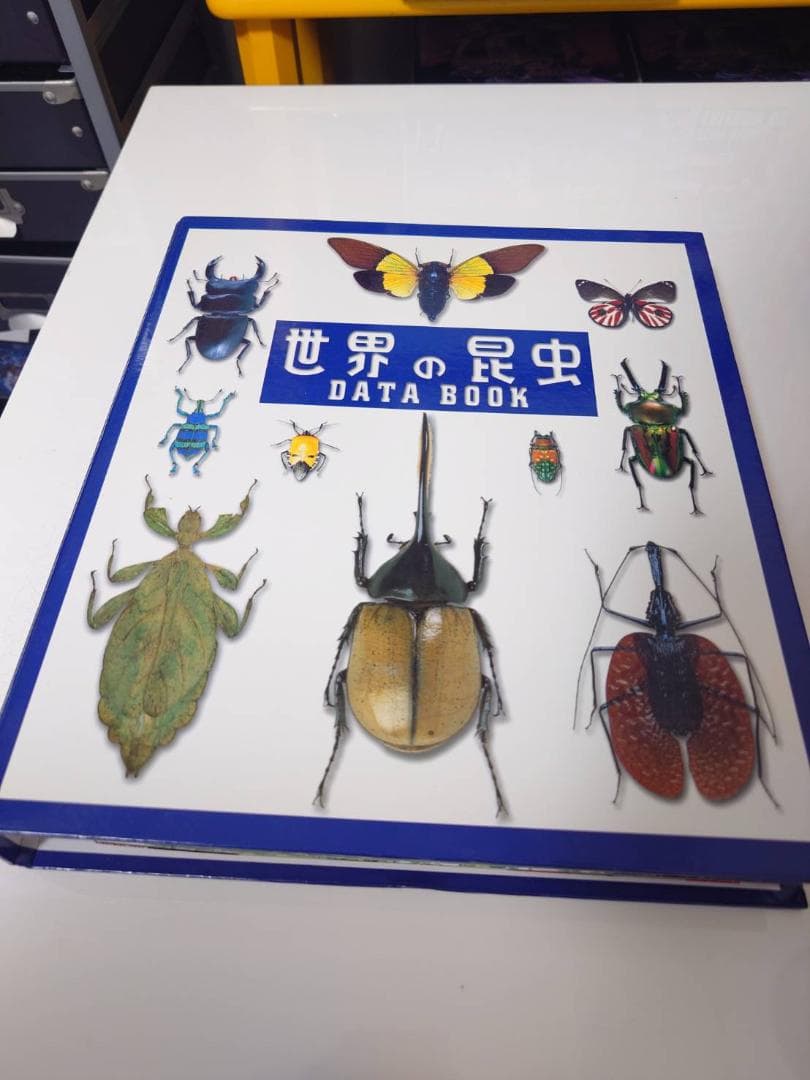【1～15巻まで】世界の昆虫 DATA BOOK＆標本セット