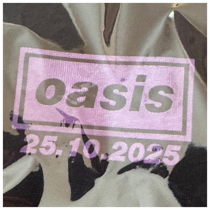 新品 1025 XLサイズ Oasis live25 江戸紫 Tシャツ おまけ付