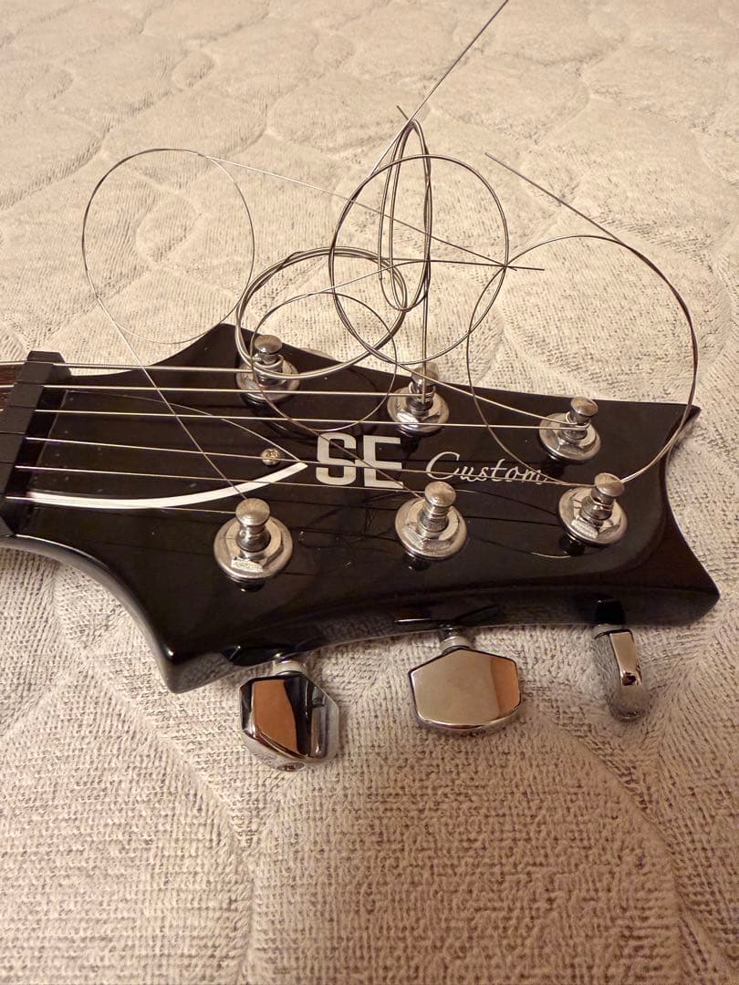 さぼてん様 PRS SE custom ポールリードスミス