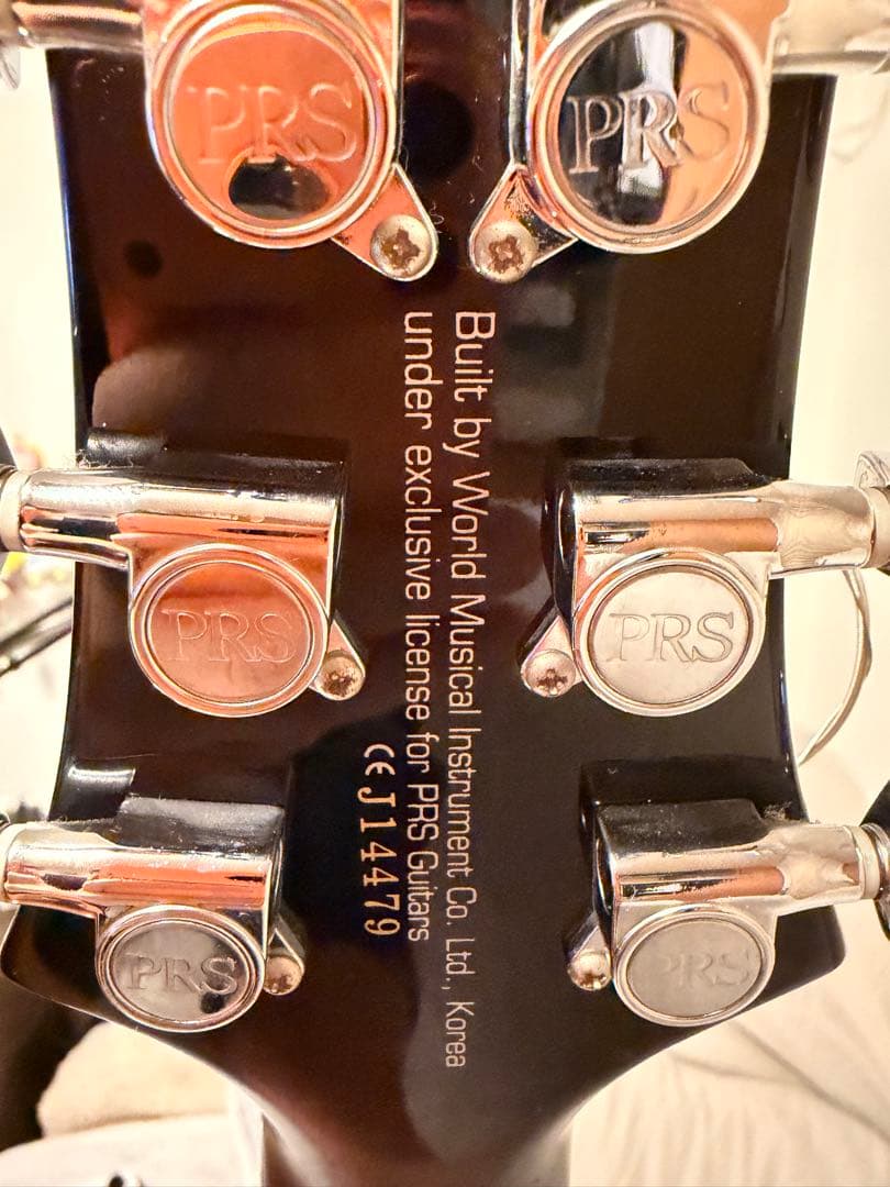 さぼてん様 PRS SE custom ポールリードスミス