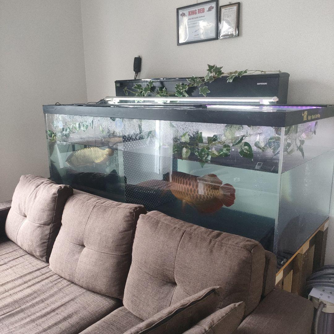 大型アクリル水槽フルセット！引き取り限定☆1500×750×600☆