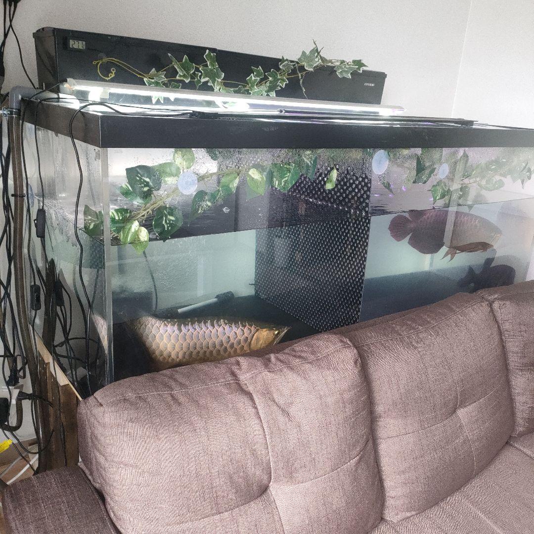 大型アクリル水槽フルセット！引き取り限定☆1500×750×600☆