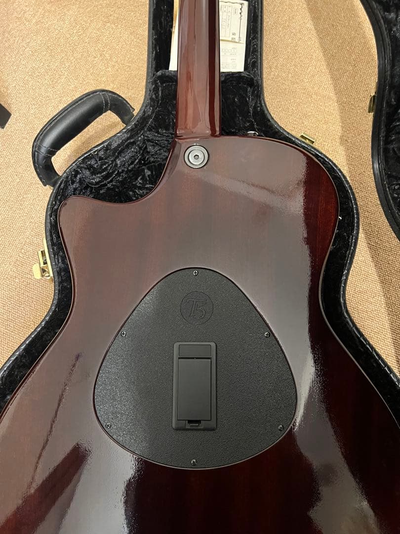 Taylor(テイラー) T5-S2 Hawaiian Koa