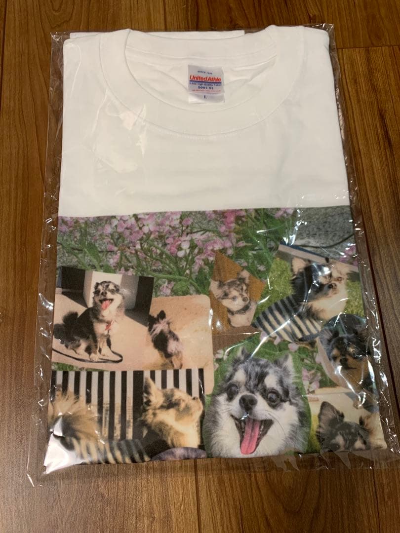 アイナジエンド　nukariari 非売品　Tシャツ