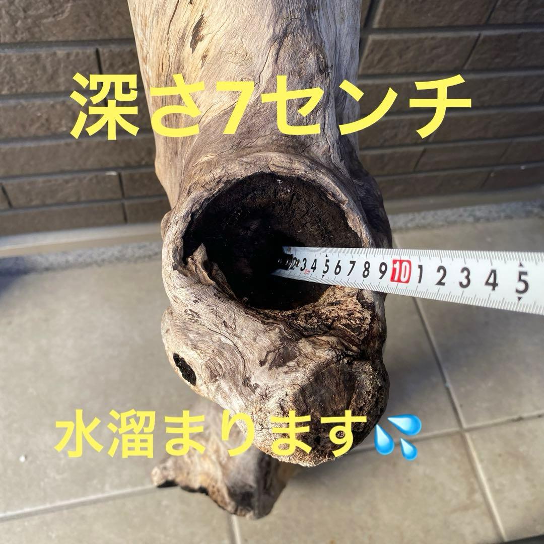 【希少大型流木】　☆おまとめ買い値引き実施中です☆