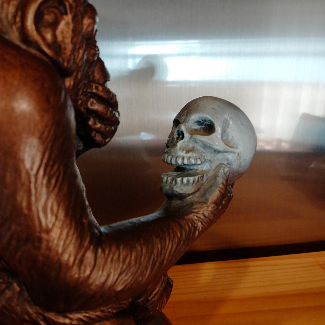 60s ダーウィン　スカル　ドクロ　モンキー　ビンテージ 毛なみ