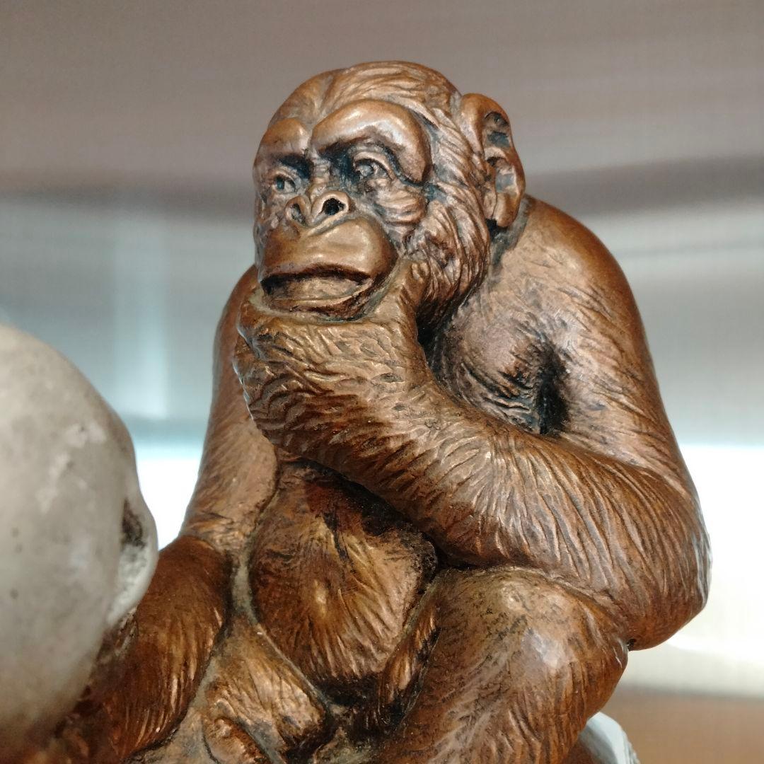 60s ダーウィン　スカル　ドクロ　モンキー　ビンテージ 毛なみ