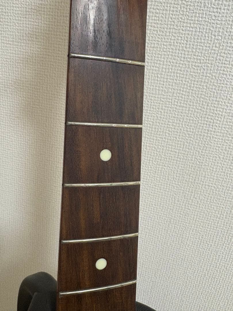 Fender Japan Telecaster テレキャスター アイスブルー