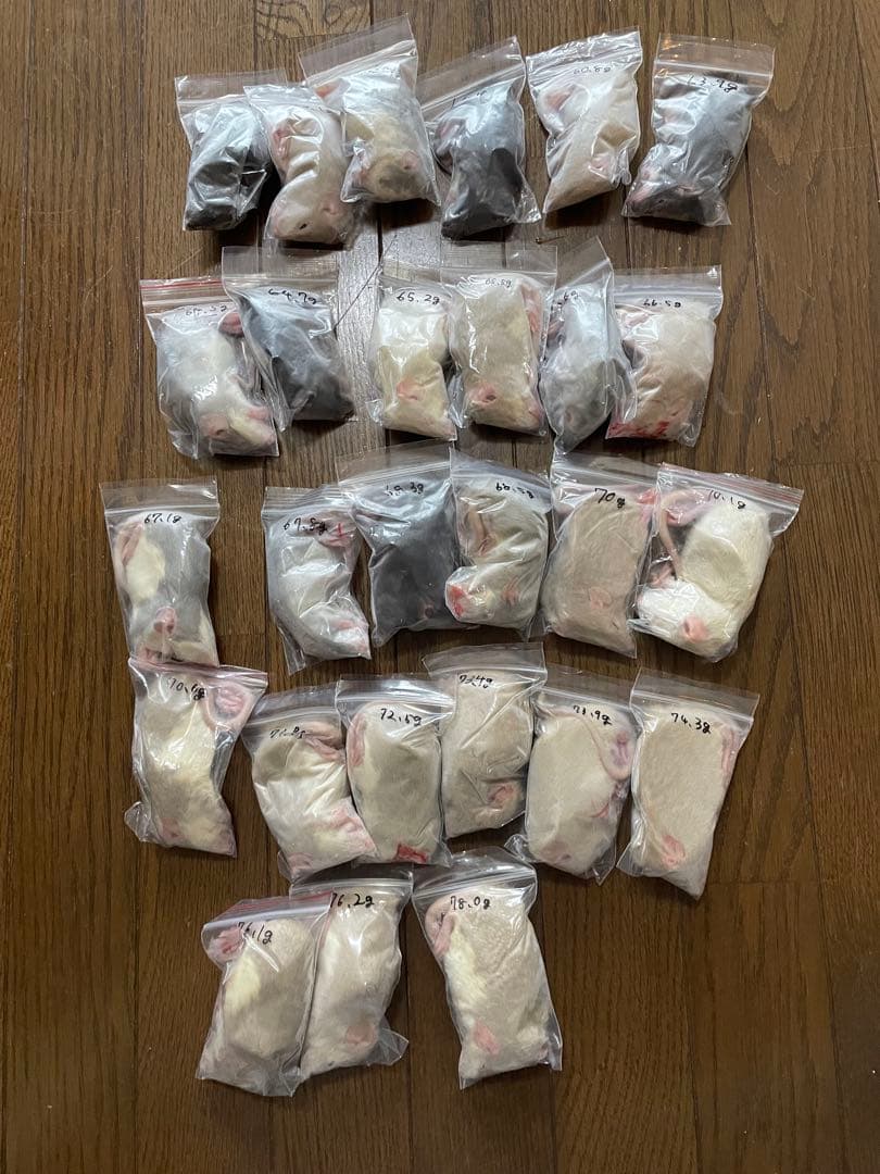 冷凍爬虫類・両生類の餌 まとめて