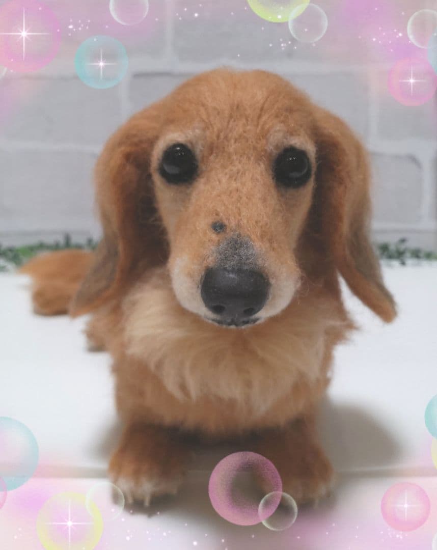 Yoko♡うちの子オーダー♡羊毛フェルト♪ハンドメイド☆