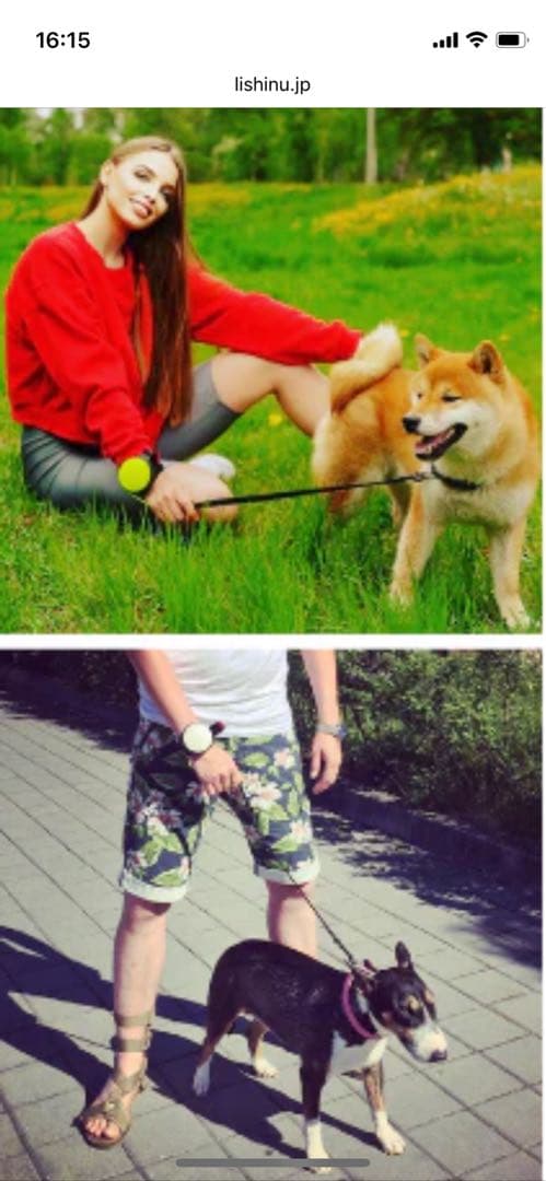 リシニュー　ハンズフリーリード　3m 希少新品