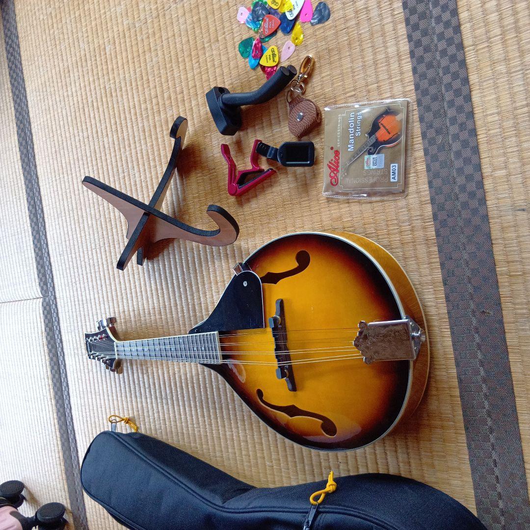 フラットマンドリン