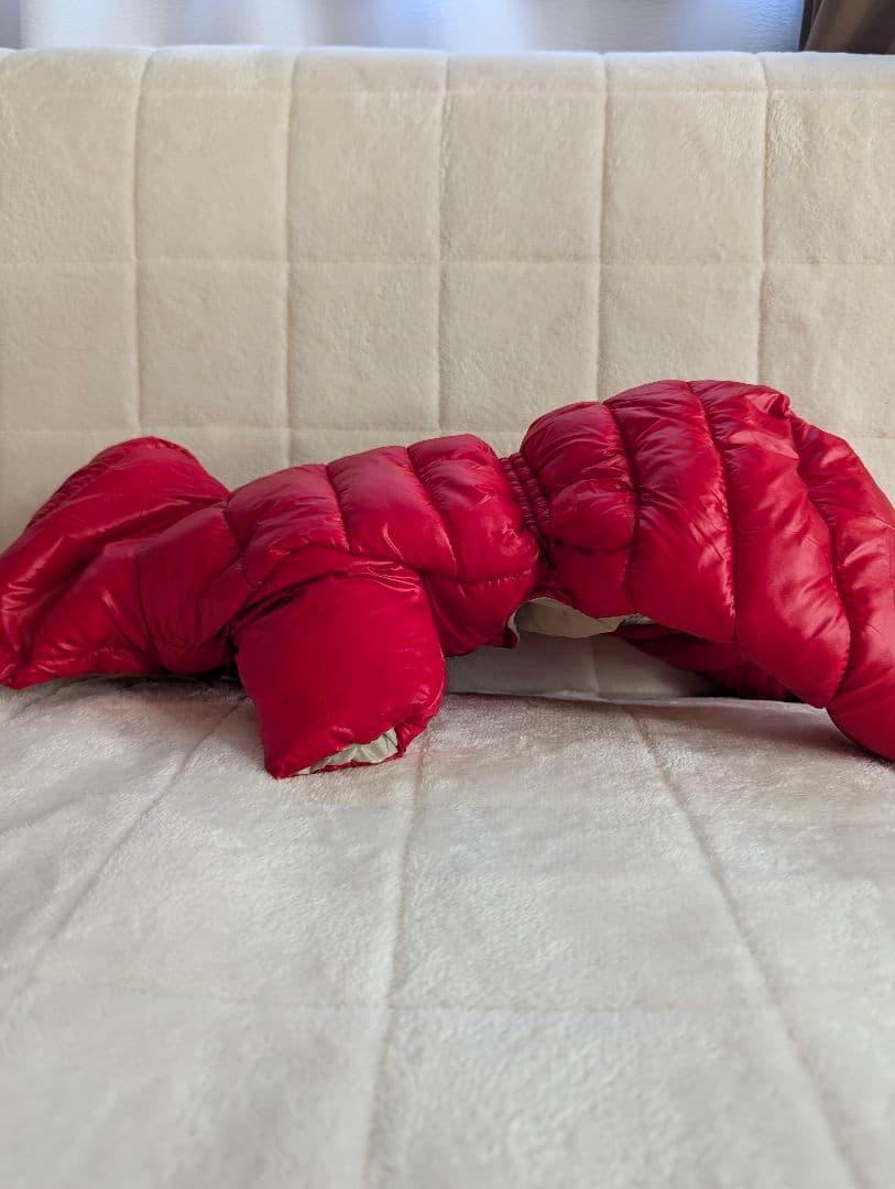 犬　MONCLER 　ダウン　モンクレール