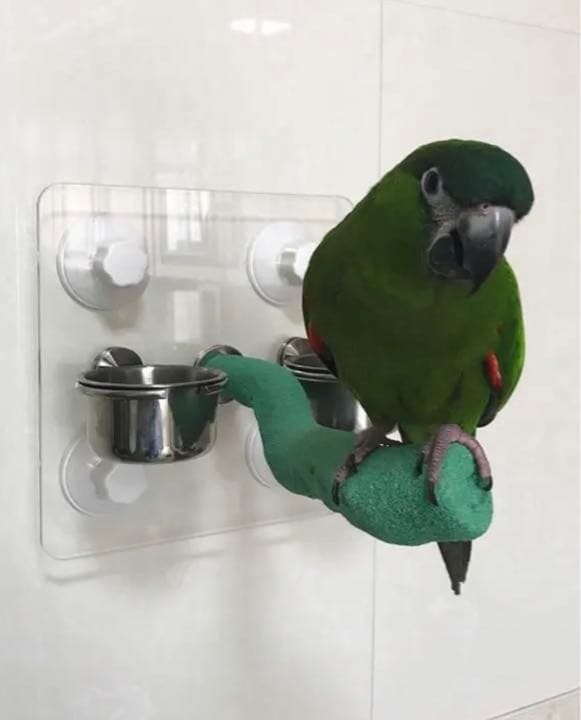 アクリル板止まり木セット 小型 中型 大型インコ兼用 風呂場 車窓 備長炭